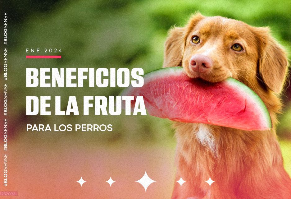 los cachorros pueden comer mangos