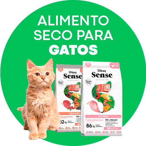 Alimento Seco para Gatos